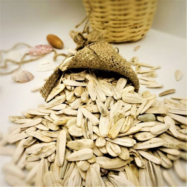 Raw White Sunflower Seeds - 1