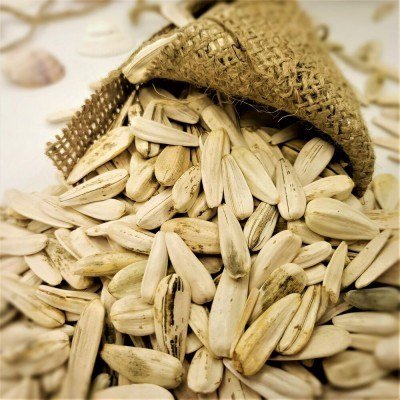 Raw White Sunflower Seeds - 2