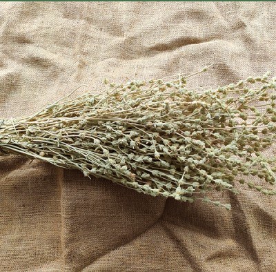 Mountain Tea - 1 Vineyard - 2