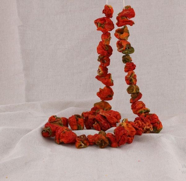 Dolmalık Acı Kuru Biber (25 adet) - 1