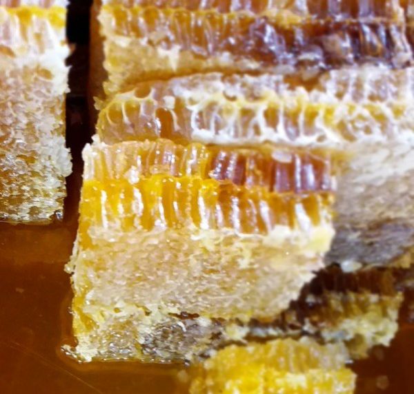 Kahramanmaras Honeycomb Honey - 2