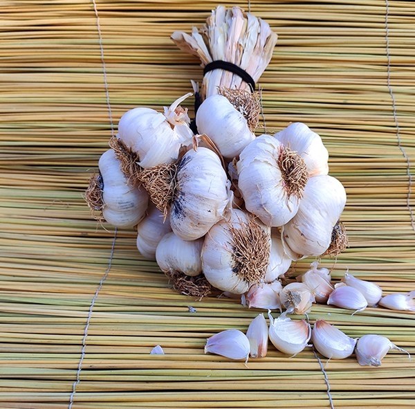 SG Instocks Handmade / Hand crafted Real Garlic Decoration for Chinese New  Year CNY 2023 option to choose fairy lights | Shopee Singapore