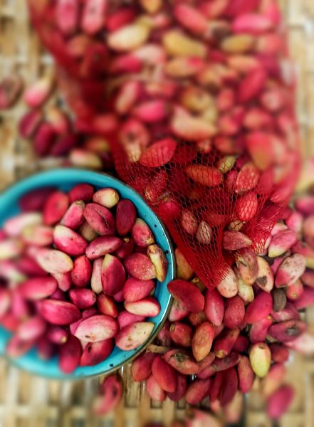 The age of fresh peanuts pistachios (1 kg) - 2